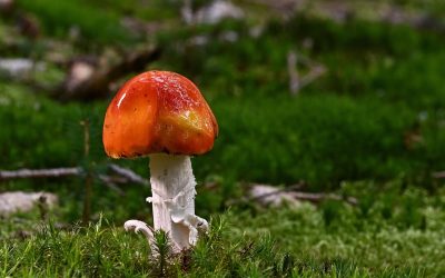 新片场ai剧集专区·现代悬疑探案剧侦探在黑暗房间内用手电筒搜查线索的紧张画面